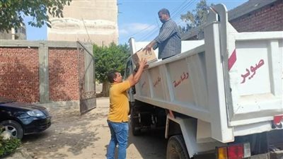 قرية السبع آبار غربية.. ومكافحة الفئران!!