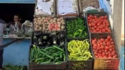 منافذ بيع منتجات الصوب الزراعية من الخضر والفواكه الطازجة بالوادي الجديد