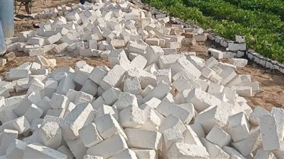 إزالة 21 حالة تعدٍ على الأراضي الزراعية والمجاري المائية بالبحيرة