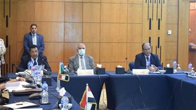 وزير الري يؤكد أهمية الاستفادة من كل قطرة مياه بخزان الحجر الرملي