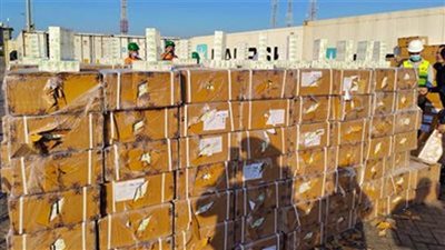 عاجل .. إحباط محاولة تهريب 1,5 مليون قرص مخدر عبر ميناء شرق بورسعيد