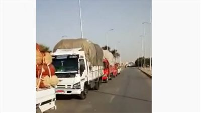  الجيزة: ضبط ١٤ سيارة خضروات وفاكهة قبل بيعها بأسعار مرتفعة للمواطنين