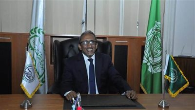 أمين مجلس الوحدة الاقتصادية: مصر تحظى بحالة فريدة من الأمن والاستقرار