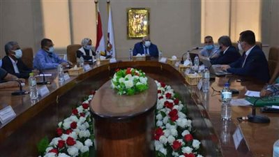 محافظ الوادي الجديد يبحث مع وفد ألماني مشروع إنشاء مصنع أخشاب mdf