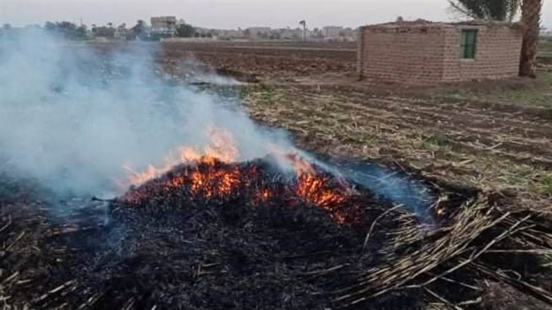 من جانب المخالفات