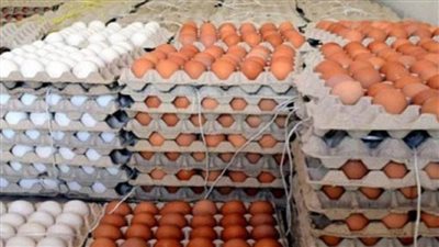 تعرف على سعر كرتونة البيض في الأسواق اليوم 