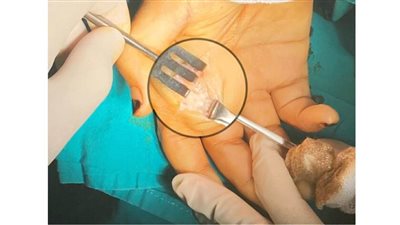 صحة القاهرة.. 