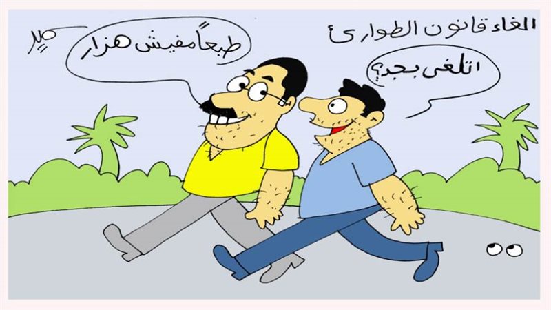 ريشة سمير عبد الغني