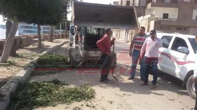 حملات نظافة وإزالة المخلفات والقمامة من شوارع كفر الشيخ