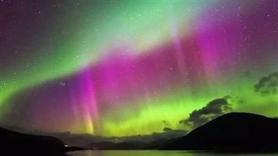 عاجل.. شاهد| 