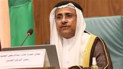 العسومي: دول التحالف تقوم بدور لدعم الشرعية للشعب اليمني
