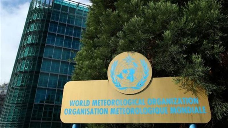 المنظمة العالمية