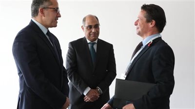 العناني يلتقي نظيره البريطاني 