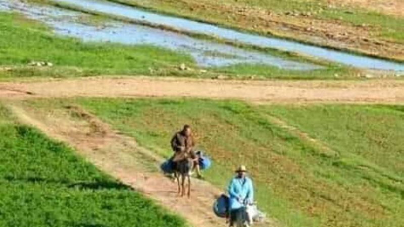 التحول للري الحديث