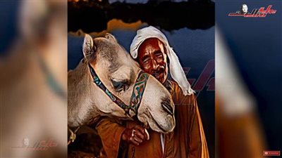 من النوبة إلى العالمية.. خالد منير طائر بجناحي الإبداع في دنيا الفن