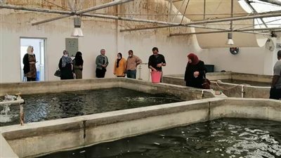 ختام برنامج أمراض الأسماك والقشريات بمعهد الاستزراع السمكي بجامعة القناة