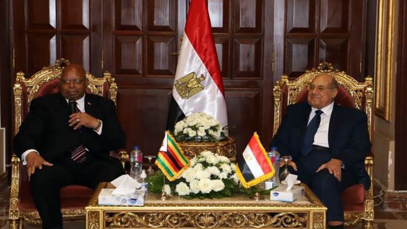 رئيس مجلس الشيوخ