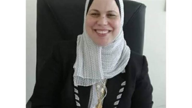 وكيلة كهرباء كفرالشيخ