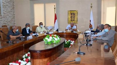 سحب 65 ألف فدان من المستثمرين غير الجادين بالوادي الجديد