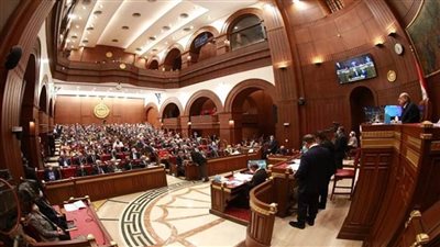 مجلس الشيوخ يناقش 13 مادة من مشروع قانون التخطيط العام للدولة