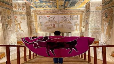 مصارع الثيران الفرنسي 