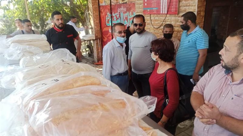 تموين الاسكندرية