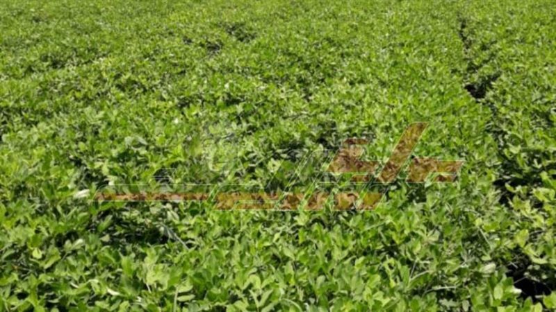 تسليم عقود أنظمة