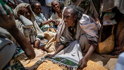 الأمم المتحدة: 45 مليون شخص في 43 دولة يواجهون خطر المجاعة 
