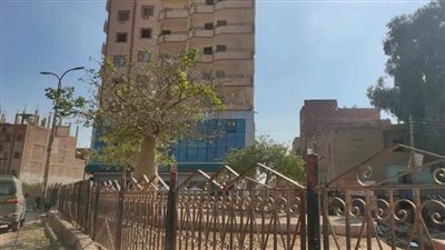 بدء أعمال رصف 12 شارعا وتطوير ميدان بمطاي شمال المنيا