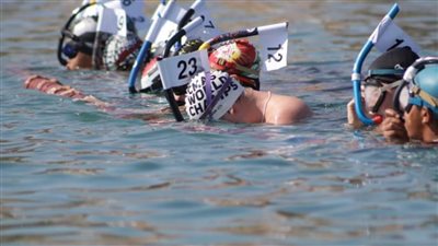 تعرف على نتائج ختام منافسات سباحة المياه المفتوحة بنهائيات كأس العالم لسباحة الزعانف