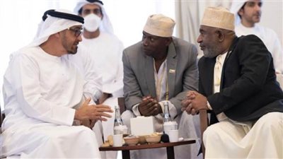 الشيخ محمد بن زايد يلتقي رئيس جزر القمر