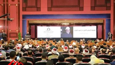 وكيل لجنة التضامن بـ