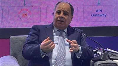 وزير المالية يعد مجتمع الأعمال باستمرار الدولة في برنامج دعم الصادرات