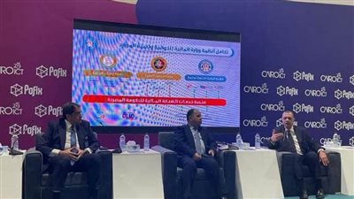 وزير المالية:نستهدف الوصول بخدمة الدين لنحو 31.5% خلال العام المالي الجاري 2021/2022