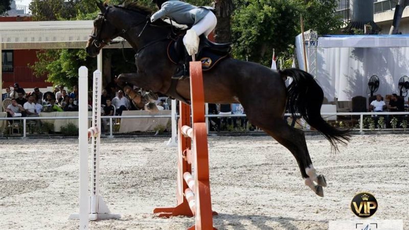 الفروسية تشهد نجاحات