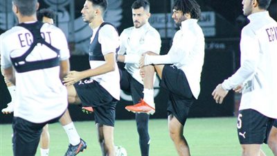 النني يشارك في المران الجماعي للمنتخب الوطني.. وتدريبات فردية لصلاح