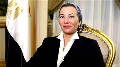 وزيرة البيئة: التكيف يعد أولوية للقارة الإفريقية