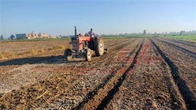 تجهيز الحقول الإرشادية لمحصول القمح ضمن مشروع ترشيد استخدام المياه بكفر الشيخ