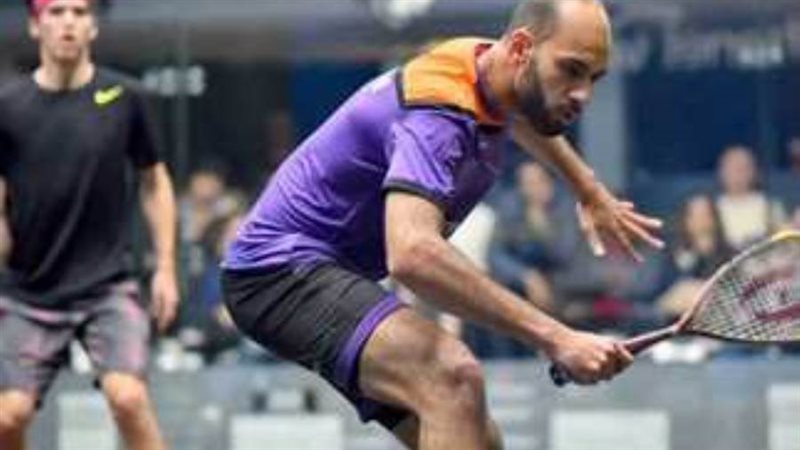 مروان الشوربجي