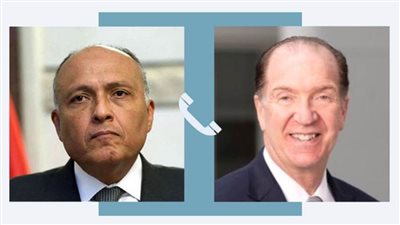 شكري يبحث مع رئيس البنك الدولي تعزيز التعاون المشترك 