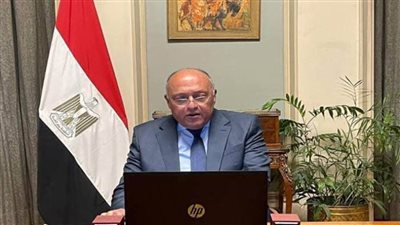 وزير الخارجية يبحث مع عضو بالكونجرس الأمريكي التعاون المشترك