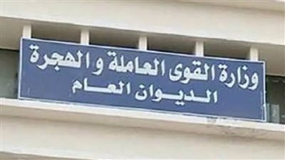 القوى العاملة: توفير 289 فرصة عمل بالبحر الأحمر