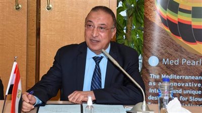محافظ الإسكندرية يشارك في مؤتمر 