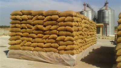 وزراء التموين والمالية والزراعة يصدرون ضوابط استلام وتخزين الأقماح المحلية لموسم ‏‏2022