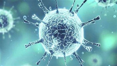  سلالة جديدة تظهر في مدرسة بريتاني بشمال غرب فرنسا