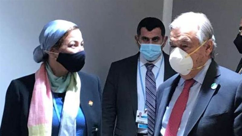 الدكتورة ياسمين فؤاد