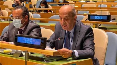 الجمعية العامة للامم المتحدة تعتمد القرار المصري 
