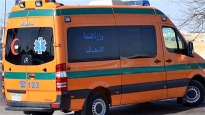 مصرع سيدة ابتلعت مبيدا حشريا بمدينة  الخارجة بالوادي الجديد