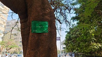 ترقيم أشجار مصر الجديدة بأسماء المشاهير
