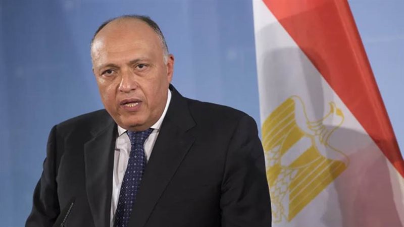 وزير الخارجية سامح